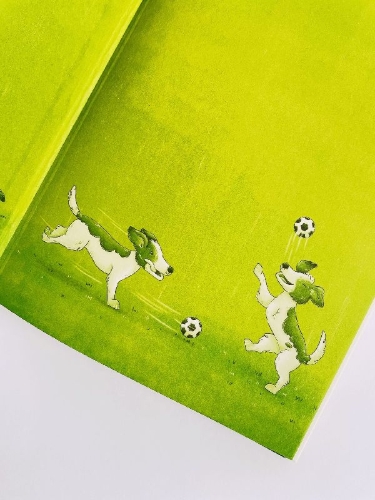 Buchcover und Innenansicht für das Buch: Der beste Fußballer aller Zeiten oder: Die Wahrheit ist nichts für Feiglinge