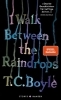 Buchcover und Innenansicht für das Buch: I Walk Between the Raindrops. Stories