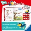 Buchcover und Innenansicht für das Buch: Leserabe 1. Lesestufe Kurz und leicht - Eine Prinzessin im Apfelbaum