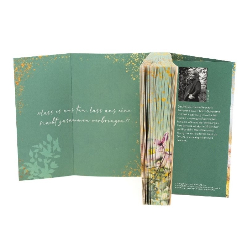 Buchcover und Innenansicht für das Buch: Among the Heather