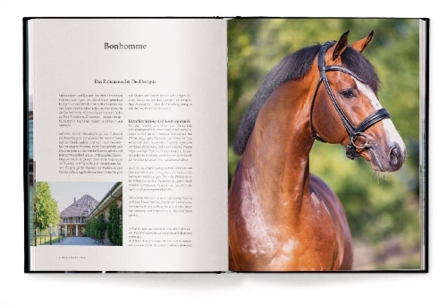 Buchcover und Innenansicht für das Buch: Reiten
