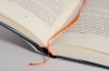 Buchcover und Innenansicht für das Buch: Eine Art Familie