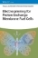 Buchcover und Innenansicht für das Buch: Electrospinning for Proton Exchange Membrane Fuel Cells