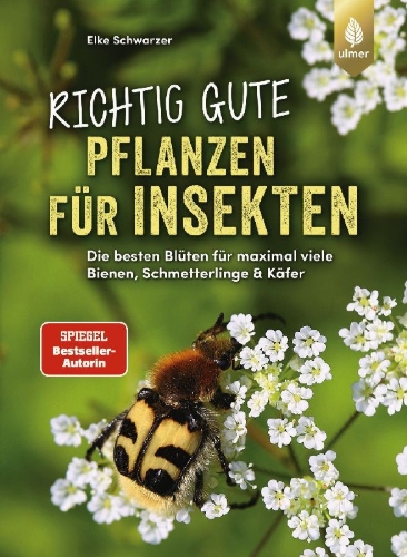 Buchcover und Innenansicht für das Buch: Richtig gute Pflanzen für Insekten