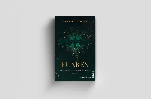 Buchcover und Innenansicht für das Buch: Funken - The Secrets of Dracon Rock