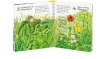Buchcover und Innenansicht für das Buch: Wieso? Weshalb? Warum? junior, Band 13: Welche Farbe ist das?