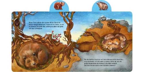 Buchcover und Innenansicht für das Buch: Was machen die Tiere im Winter?