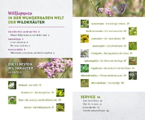 Buchcover und Innenansicht für das Buch: Wild und wunderbar: die 13 besten Wildkräuter