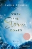 Buchcover und Innenansicht für das Buch: When the Storm Comes
