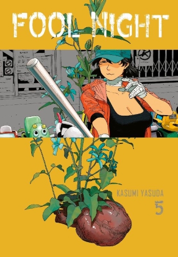 Buchcover und Innenansicht für das Buch: Fool Night
