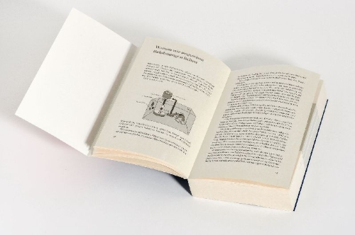 Buchcover und Innenansicht für das Buch: Little Addictions. The Tiny But Mighty Diversions from Our Best Lives
