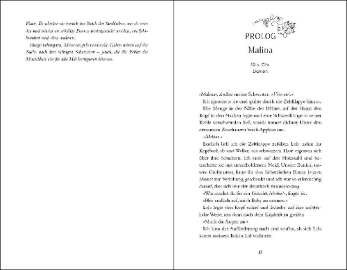 Buchcover und Innenansicht für das Buch: The Fire that Binds - Firebird