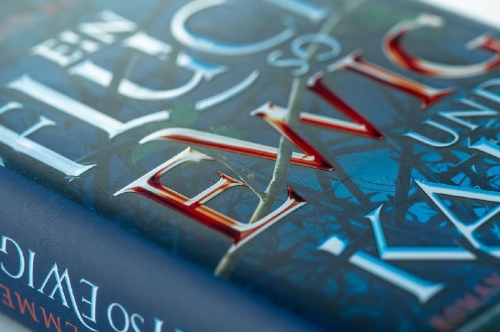 Buchcover und Innenansicht für das Buch: A curse so dark and lonely