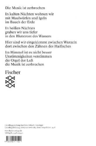 Buchcover und Innenansicht für das Buch: Die Musik ist zerbrochen