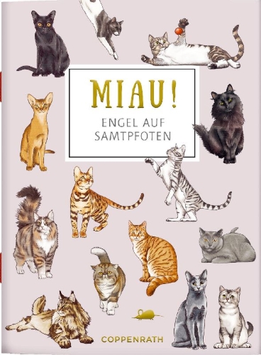 Buchcover und Innenansicht für das Buch: MIAU! - Engel auf Samtpfoten