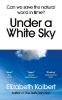 Buchcover und Innenansicht für das Buch: Under a White Sky