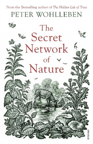Buchcover und Innenansicht für das Buch: Das geheime Netzwerk der Natur