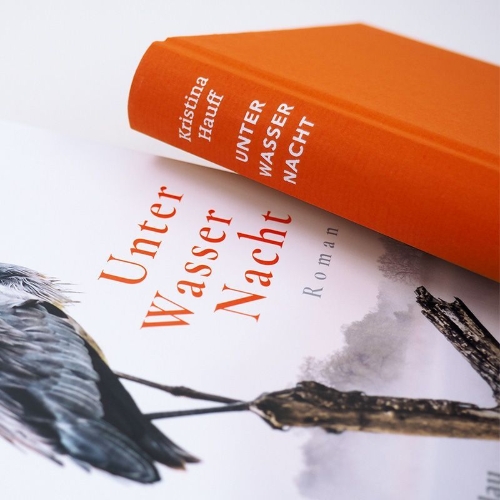 Buchcover und Innenansicht für das Buch: Unter Wasser Nacht