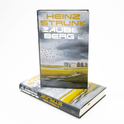 Buchcover und Innenansicht für das Buch: Zauberberg 2