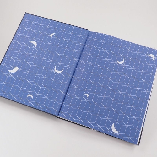 Buchcover und Innenansicht für das Buch: Jetzt noch ein Gedicht, und dann aus das Licht!