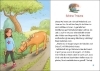 Buchcover und Innenansicht für das Buch: Die Wolkenponys (Band 3) - Das verzauberte Schloss