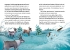 Buchcover und Innenansicht für das Buch: Glöckchen, das Weihnachtspony (Band 1) - Das Wunder vom Nordpol