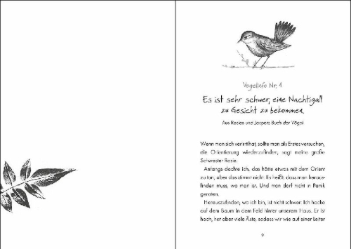 Buchcover und Innenansicht für das Buch: The Hunt For The Nightingale