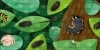 Buchcover und Innenansicht für das Buch: Animal Magic: In the Night