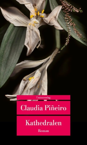 Buchcover und Innenansicht für das Buch: Catedrales