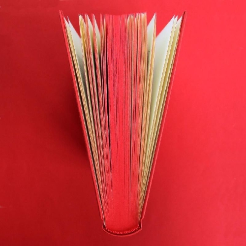 Buchcover und Innenansicht für das Buch: Berlin - ein Stadtschicksal