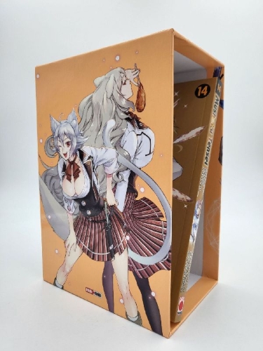 Buchcover und Innenansicht für das Buch: Mushoku Tensei - In dieser Welt mach ich alles anders 14 (mit Schuber)