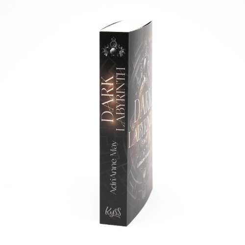 Buchcover und Innenansicht für das Buch: Exquisite Ruin