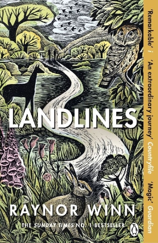 Buchcover und Innenansicht für das Buch: Landlines