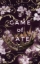 Buchcover und Innenansicht für das Buch: A Game of Fate
