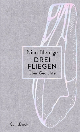 Buchcover und Innenansicht für das Buch: Drei Fliegen