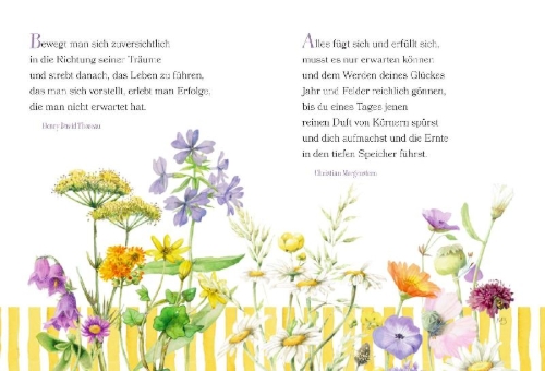 Buchcover und Innenansicht für das Buch: Folge deinem Herzen auf dem Weg zum Glück