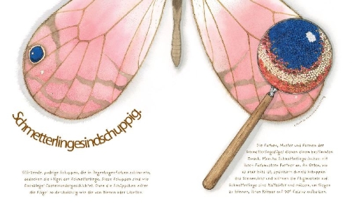 Buchcover und Innenansicht für das Buch: A Butterfly Is Patient