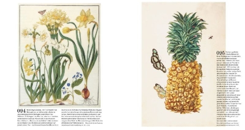 Buchcover und Innenansicht für das Buch: Der Garten. Seine Geschichte in 333 Bildern