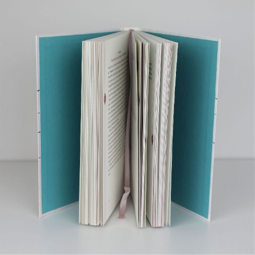 Buchcover und Innenansicht für das Buch: Ich schreibe mich schlank