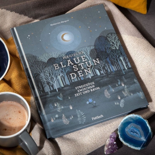 Buchcover und Innenansicht für das Buch: Magische blaue Stunden