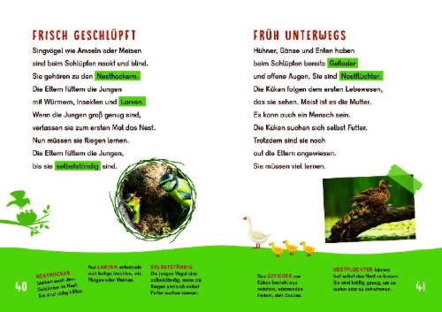 Buchcover und Innenansicht für das Buch: Dein Lesestart - Vögel