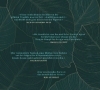 Buchcover und Innenansicht für das Buch: The New Wilderness