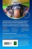 Buchcover und Innenansicht für das Buch: LONELY PLANET Reiseführer Thailand Inseln & Strände