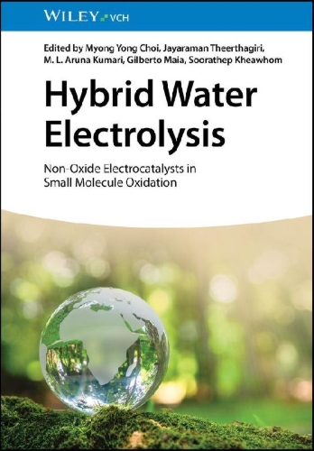 Buchcover und Innenansicht für das Buch: Hybrid Water Electrolysis