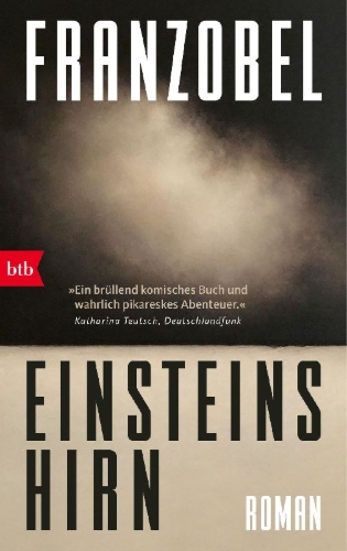 Buchcover und Innenansicht für das Buch: Einsteins Hirn