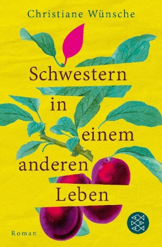 Buchcover und Innenansicht für das Buch: Schwestern in einem anderen Leben