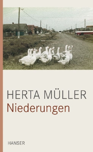 Buchcover und Innenansicht für das Buch: Niederungen