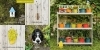 Buchcover und Innenansicht für das Buch: Let's find Momo!