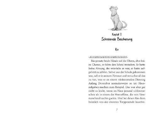 Buchcover und Innenansicht für das Buch: Die Geburtstagsbande. Jeder Tag ist Feiertag!