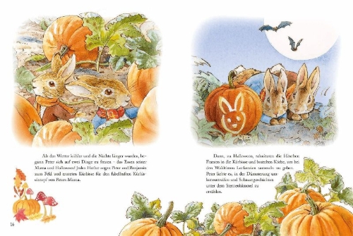 Buchcover und Innenansicht für das Buch:  The World of Peter Rabbit - A Tale of Four Seasons